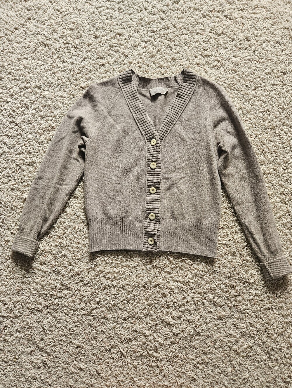Taupe Everlane XS Button Down Long Sleeve Cardigan